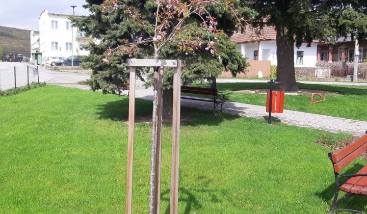 Zobraziť fotografiu