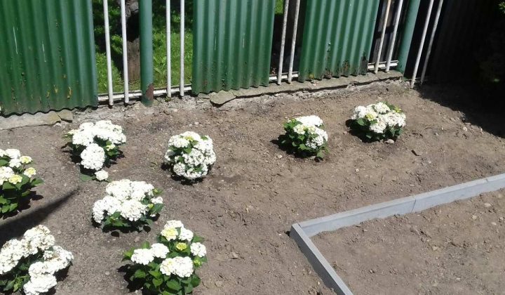 Zobraziť fotografiu