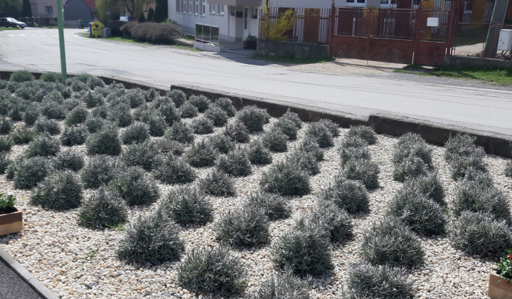 Zobraziť fotografiu