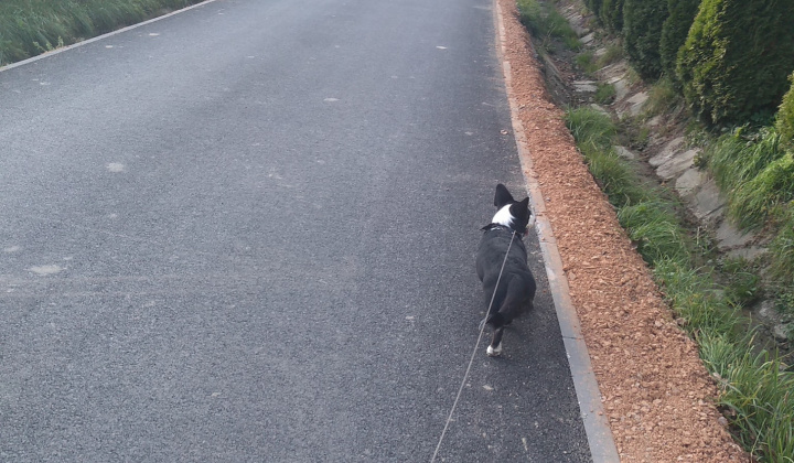 Zobraziť fotografiu