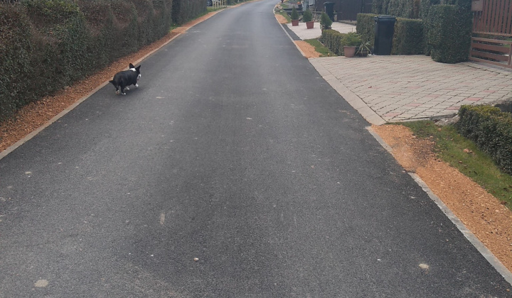 Zobraziť fotografiu